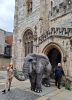 Elephant on the march!